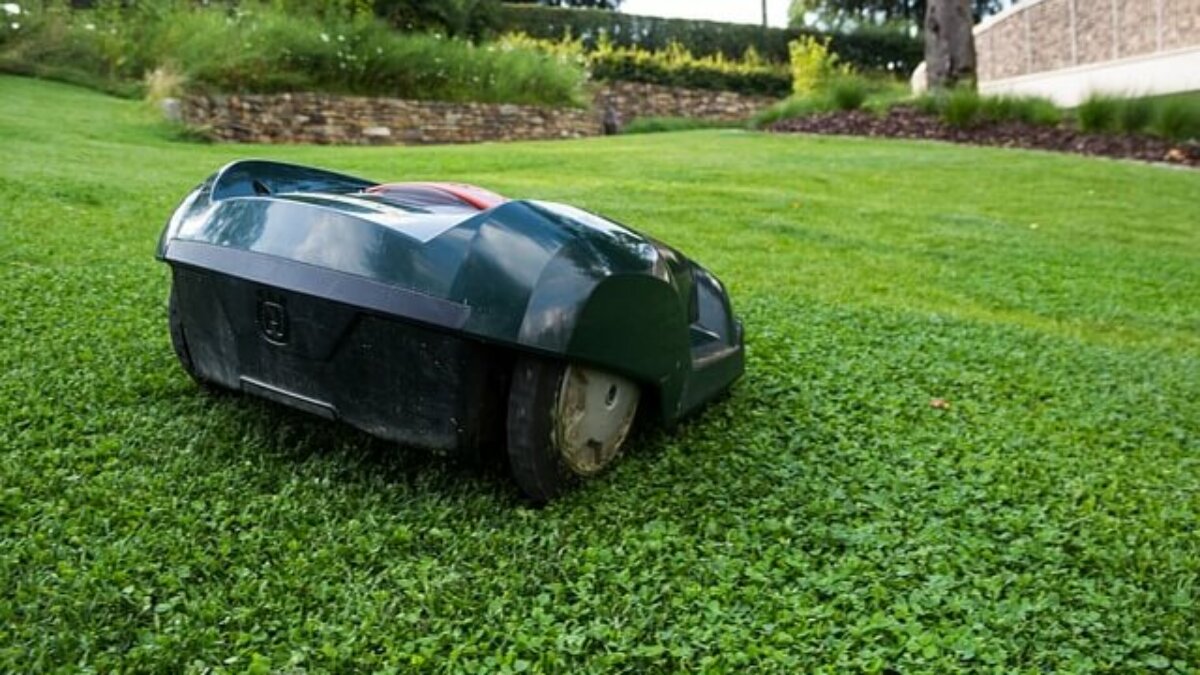 Worx robotic mower does not start troubleshooting guide Smart